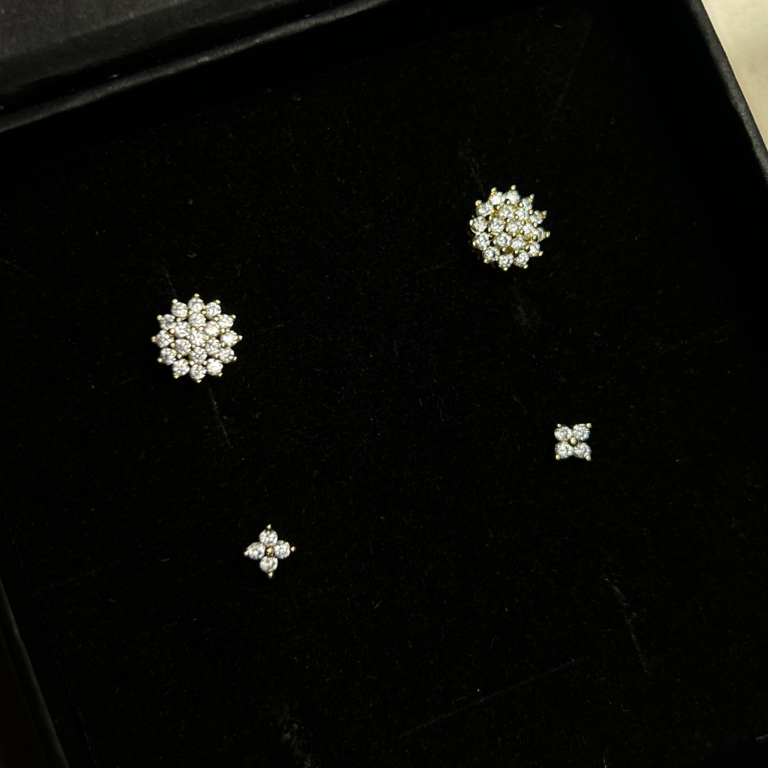 Bare & Beautiful Earrings Combo (2 Earrings)