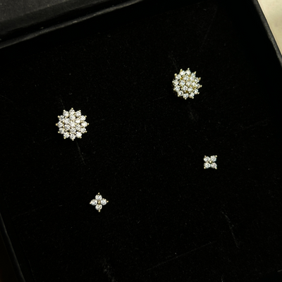 Bare & Beautiful Earrings Combo (2 Earrings)
