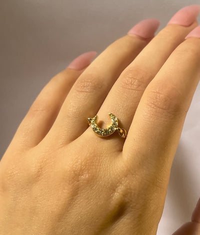 Pretty Please Ring Stack Combo